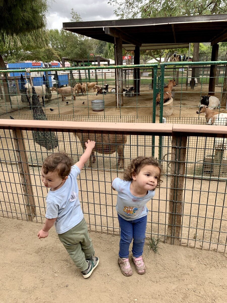 Underwood Farm Trip snapshot 3